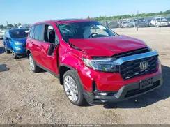 HONDA PASSPORT