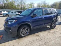 HONDA PASSPORT