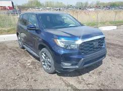 HONDA PASSPORT