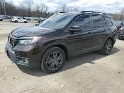 HONDA PASSPORT