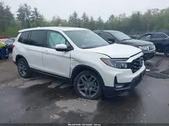 HONDA PASSPORT