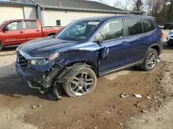 HONDA PASSPORT