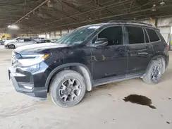 HONDA PASSPORT