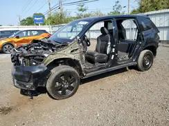 HONDA PASSPORT