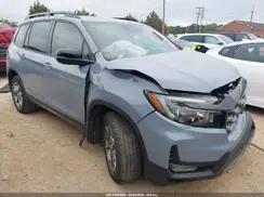 HONDA PASSPORT