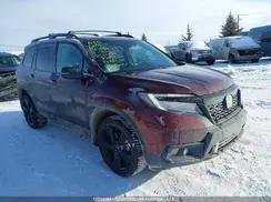 HONDA PASSPORT