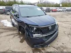 HONDA PASSPORT