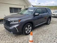 HONDA PILOT