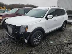 KIA TELLURIDE