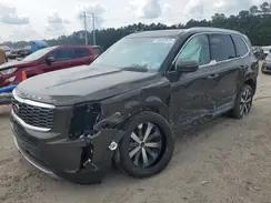 KIA TELLURIDE