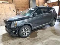 KIA TELLURIDE