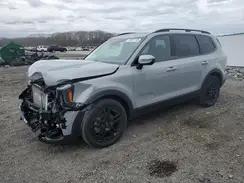 KIA TELLURIDE