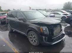 KIA TELLURIDE