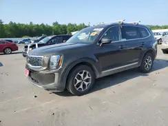 KIA TELLURIDE