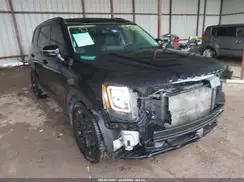 KIA TELLURIDE