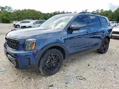 KIA TELLURIDE