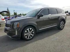 KIA TELLURIDE