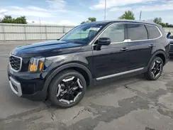 KIA TELLURIDE