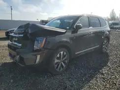 KIA TELLURIDE