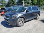 KIA TELLURIDE