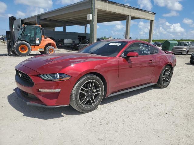 1FA6P8TH0K5133889 2019 FORD MUSTANG - Image 1