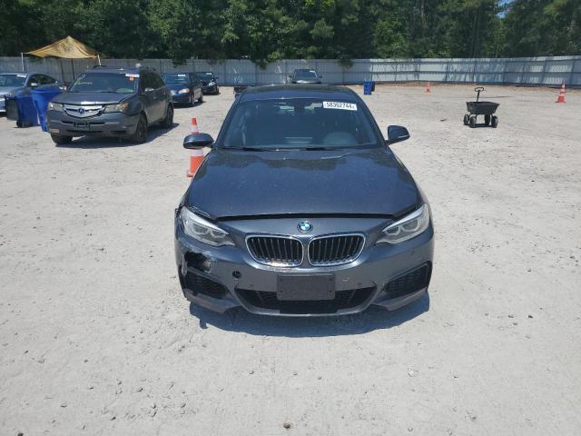 WBA1G9C53GVX97091 2016 BMW 2 SERIES - Image 5