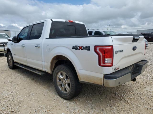 1FTEW1EG3GKE60512 2016 FORD F-150 - Image 2