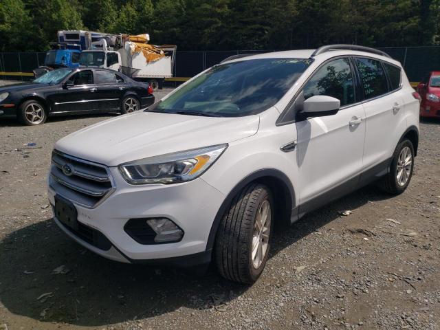 FORD ESCAPE