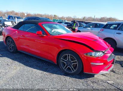 FORD MUSTANG