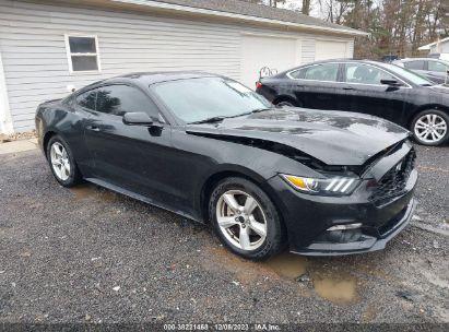 FORD MUSTANG