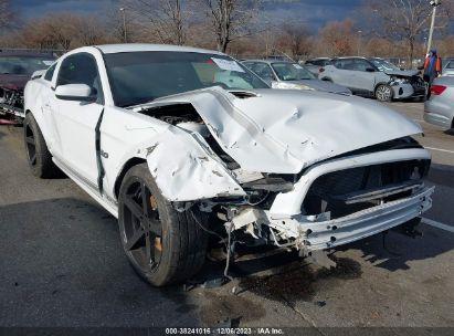 FORD MUSTANG