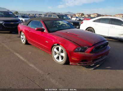 FORD MUSTANG