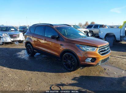 FORD ESCAPE