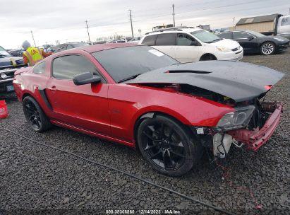 FORD MUSTANG