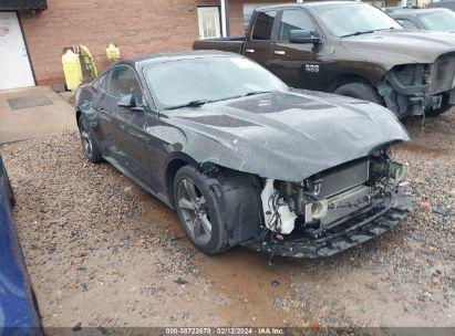 FORD MUSTANG