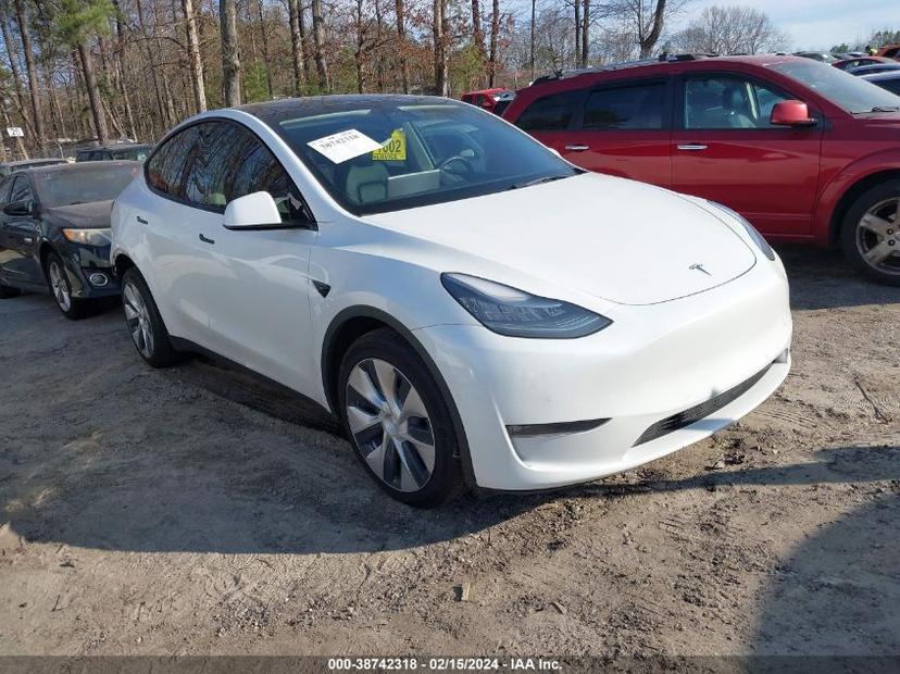 TESLA MODEL Y