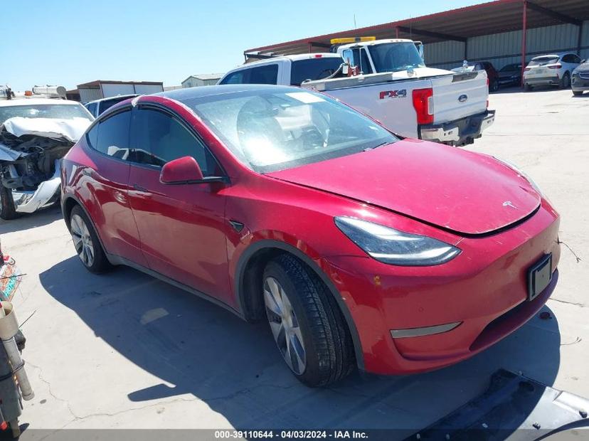 TESLA MODEL Y