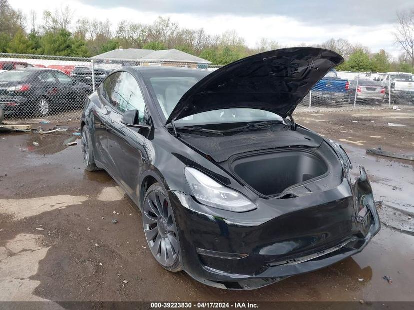 TESLA MODEL Y