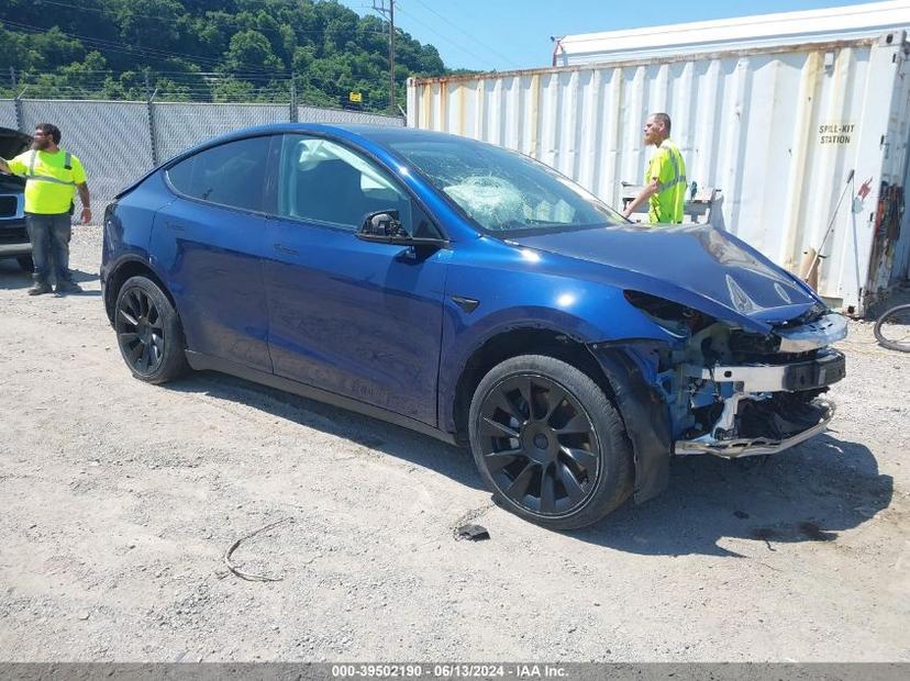 TESLA MODEL Y