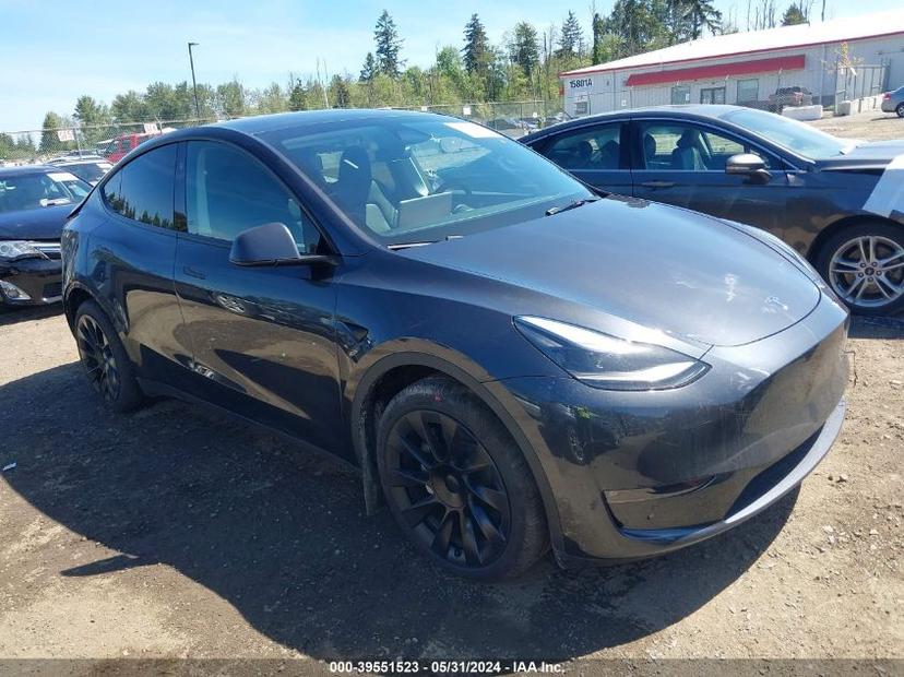 TESLA MODEL Y