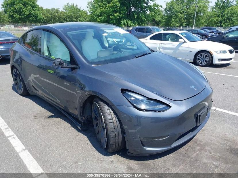 TESLA MODEL Y