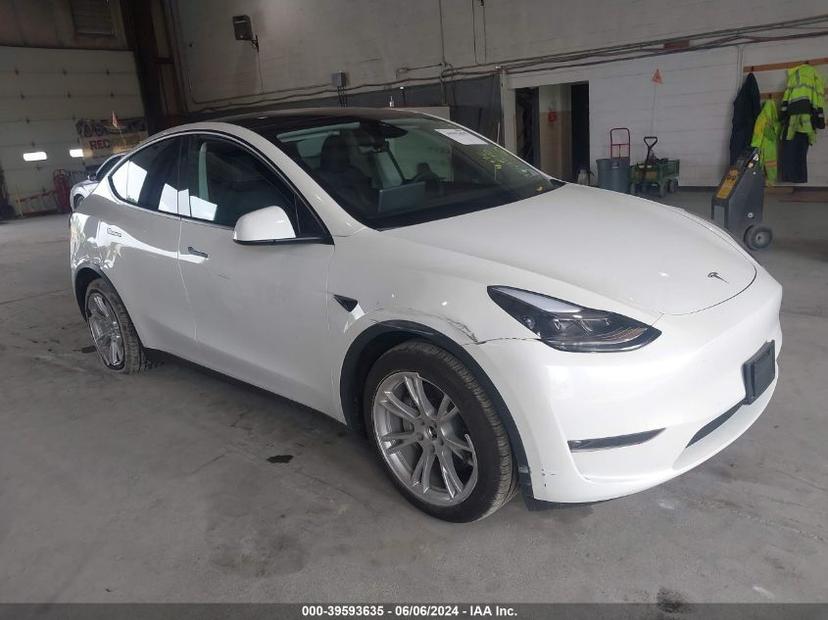 TESLA MODEL Y