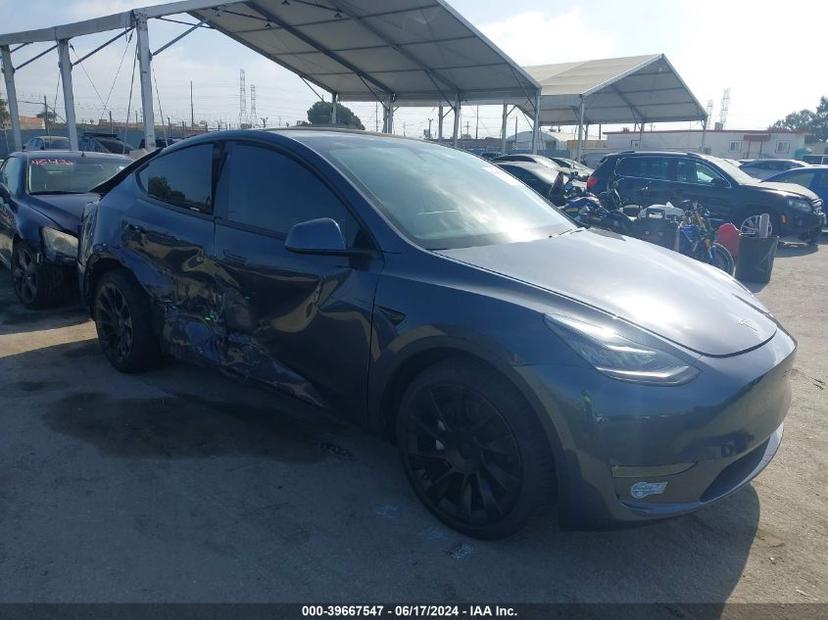 TESLA MODEL Y