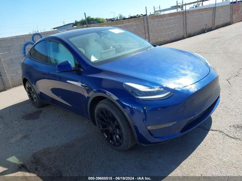 TESLA MODEL Y