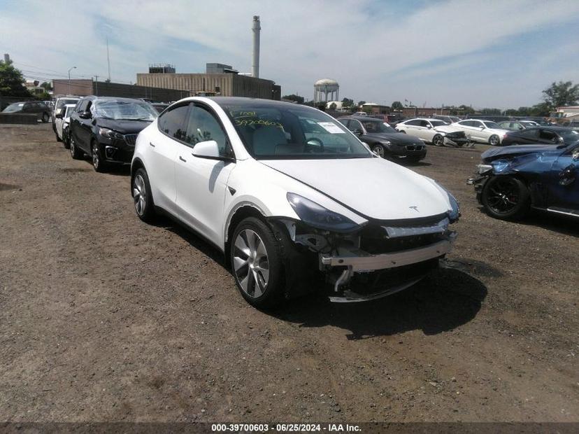 TESLA MODEL Y