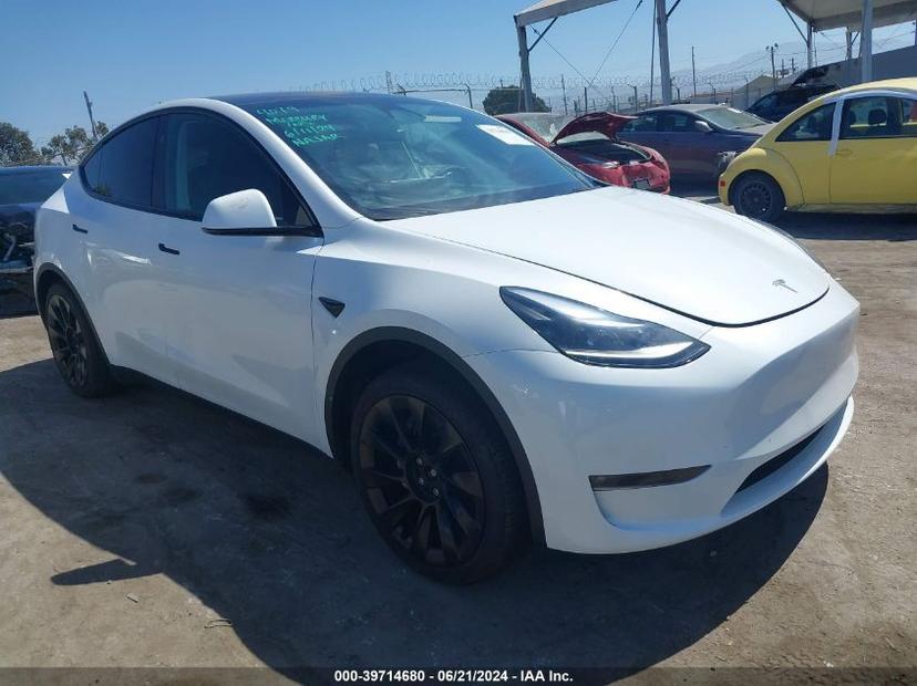 TESLA MODEL Y