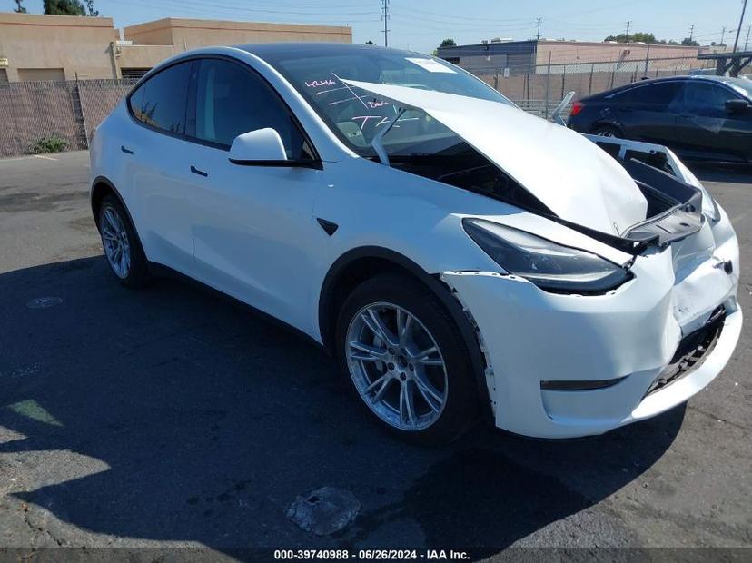 TESLA MODEL Y