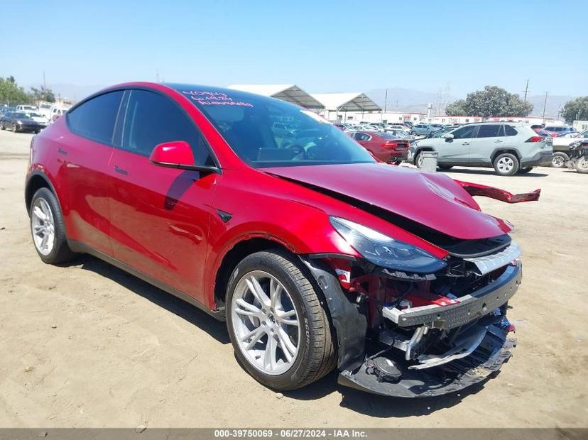 TESLA MODEL Y