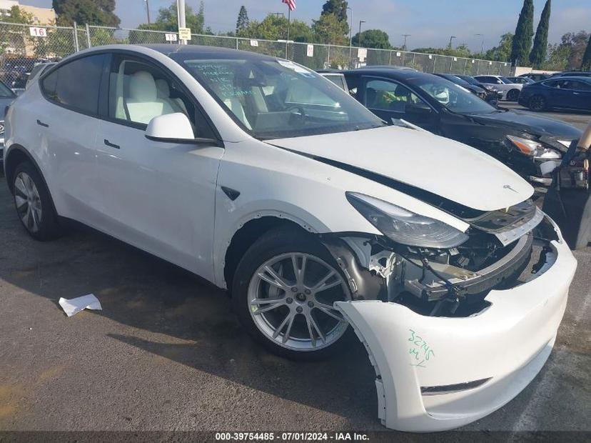 TESLA MODEL Y