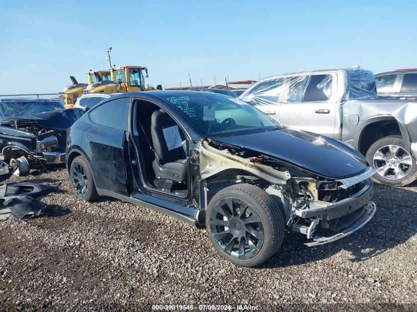 TESLA MODEL Y